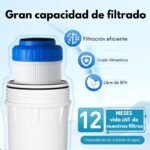 Filtro de carbón activado granular GAC 10"X 2.5" - Image 2